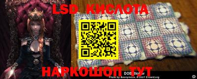 а пвп мука Новозыбков