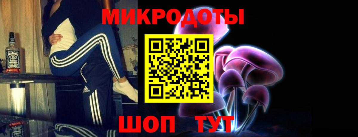 Псилоцибиновые грибы GOLDEN TEACHER Туапсе